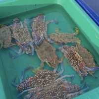 Local fishing market jomtien beach