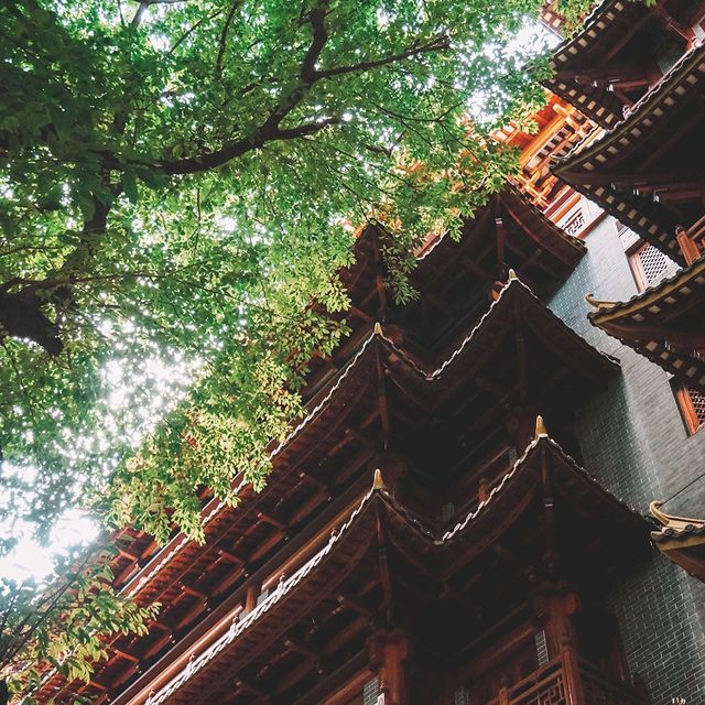 遊廣州📍古寺流芳之大佛古寺