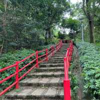 龜山步道⛰️