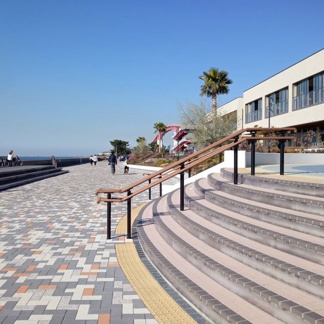 鳥居崎海浜公園：海洋樂園沉浸自然！⛱️🌊