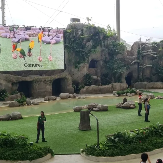 Singapore's Largest Bird Paradise 🦜🐦