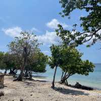 West Bali National Park