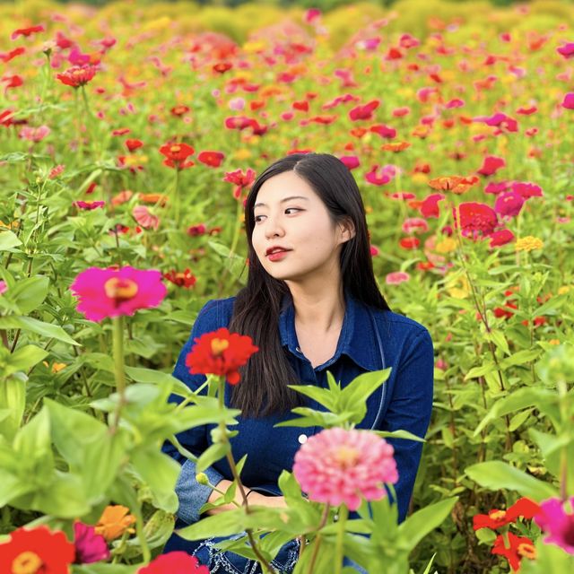 가을나들이명소 연천 댑싸리공원🌳🍁