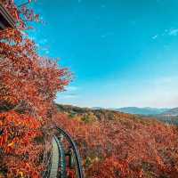 Beautiful Hwadam Botanic Garden I Autumn 