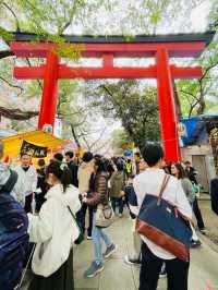 【東京都/花園神社】東京・新宿の酉の市