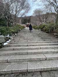 大阪・箕面　勝ちだるまがいっぱい【勝尾寺】