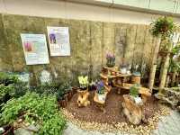 香港公園 — 球根植物展覽