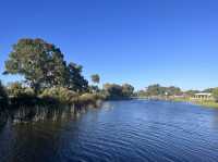 Lake Douglas, Swan Canning Riverpark😎📸🤩