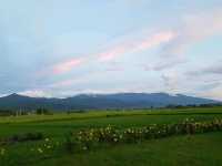 บ้านไม้ ปลายนา อ.ปัว จ.น่าน