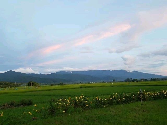 บ้านไม้ ปลายนา อ.ปัว จ.น่าน