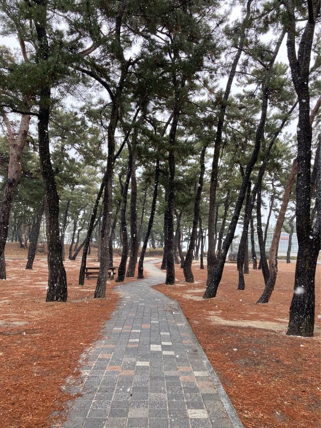 강릉하면 빠질 수 없는