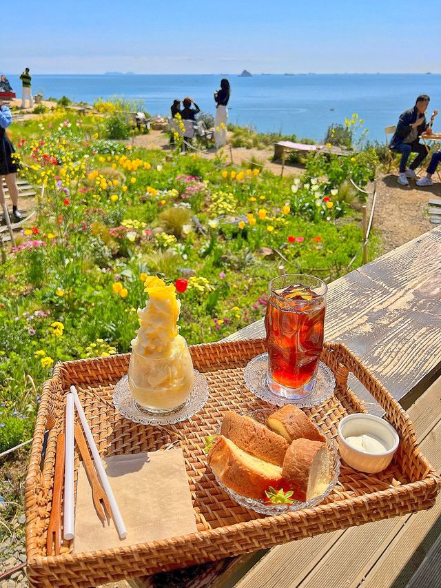다랭이 마을에 갔으면 들려줘야 하는 카페톨🌾