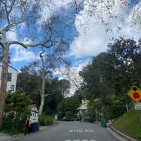 Walking to Hollywood sign : )