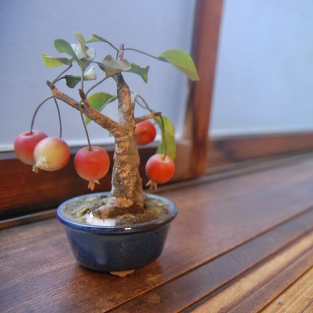 도쿄 지유가오카의 핫플 일본 전통 찻집 코소안
