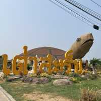 เต่าสะเร็น