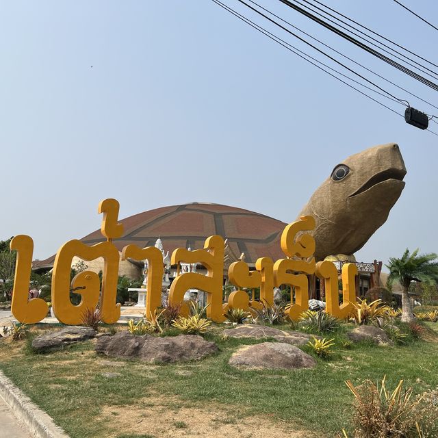เต่าสะเร็น