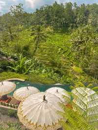 SHOULD YOU VISIT UBUD, BALI? 