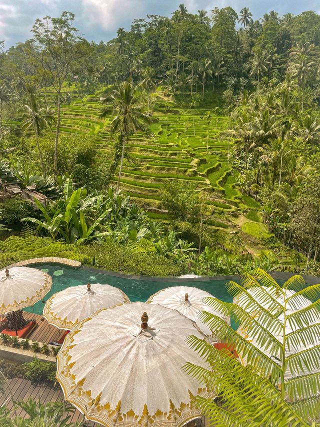 SHOULD YOU VISIT UBUD, BALI? 