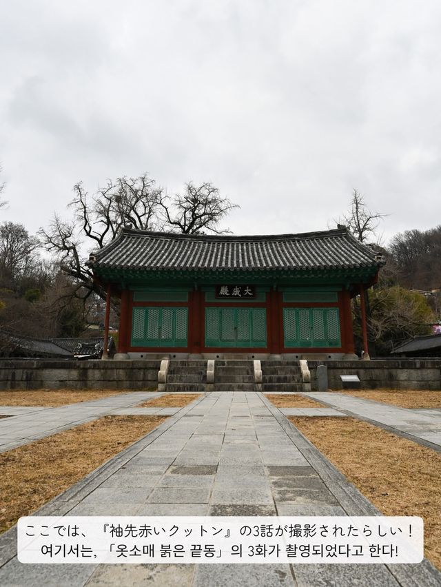 【 韓国 / 全州 】韓ドラのロケ地巡り！二十五、二十一、シュルプ…話題作多数！