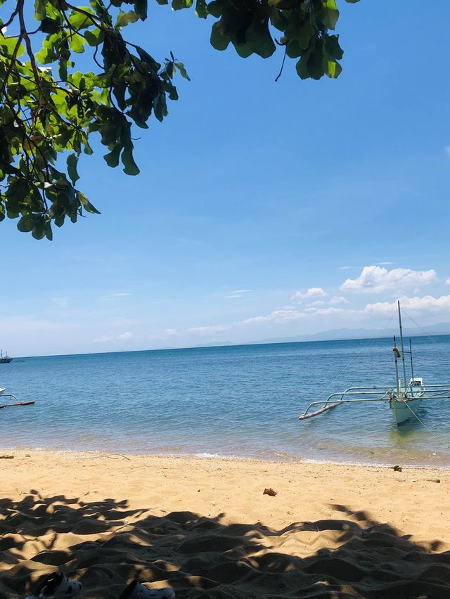 SIARGAO of GUIMARAS?