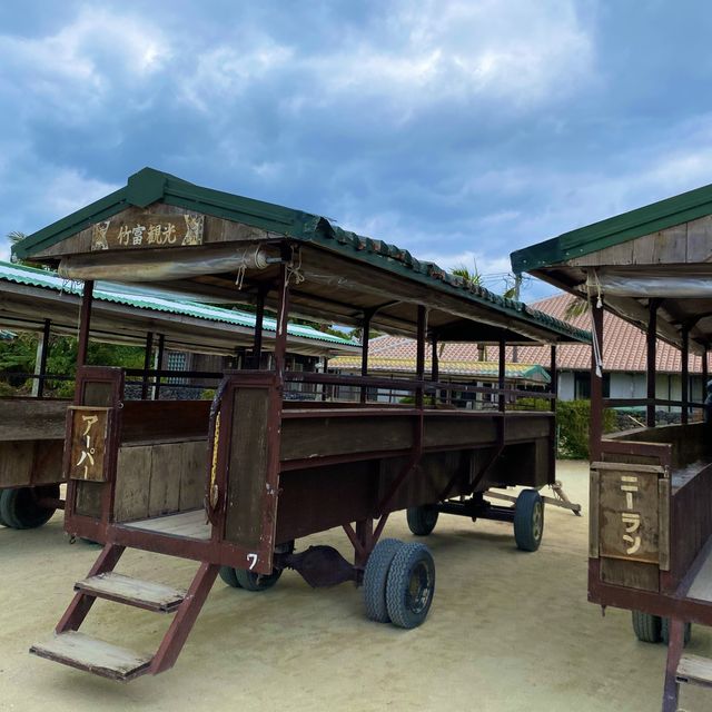 竹富島「水牛車コース」ニーラン君はのんびり集落を歩いてくれました