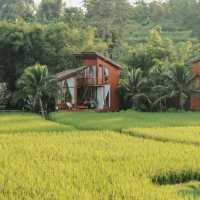 บ้านนาก๋างโต้ง Baan Na Kang Tong 🌾 จ. น่าน