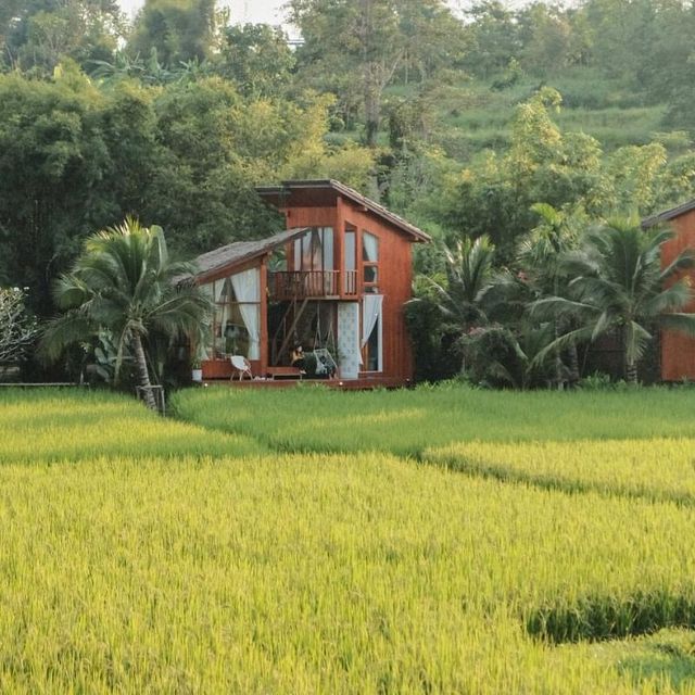 บ้านนาก๋างโต้ง Baan Na Kang Tong 🌾 จ. น่าน