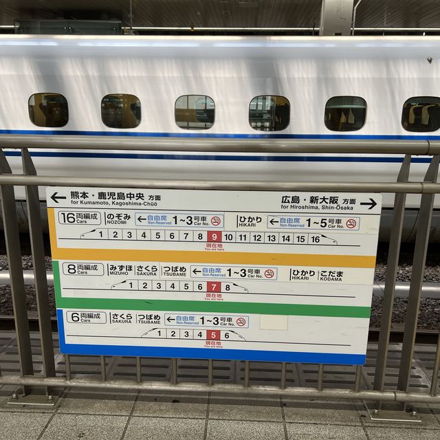 KUMAMOTO 1 Day trip