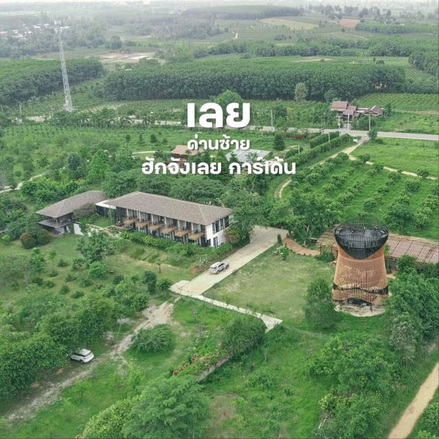 ฮักจังเลย การ์เด้น ด่านซ้าย