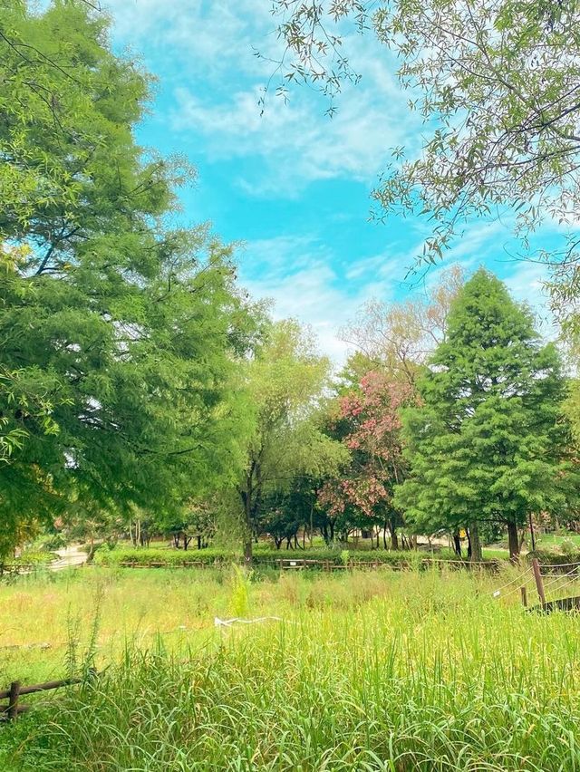 동화 속 인지 현실인지 너무 아름다운 ‘전주 수목원’🌲