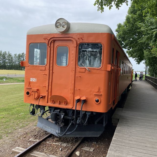 從愛的國度前往幸福，北海道夏日情侶遊