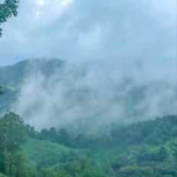 Akha Framville🐑🌳🍃