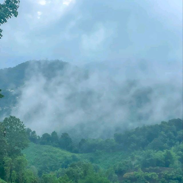 Akha Framville🐑🌳🍃