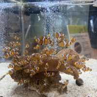 【兵庫】絶景すぎる水族館！城崎マリンワールド