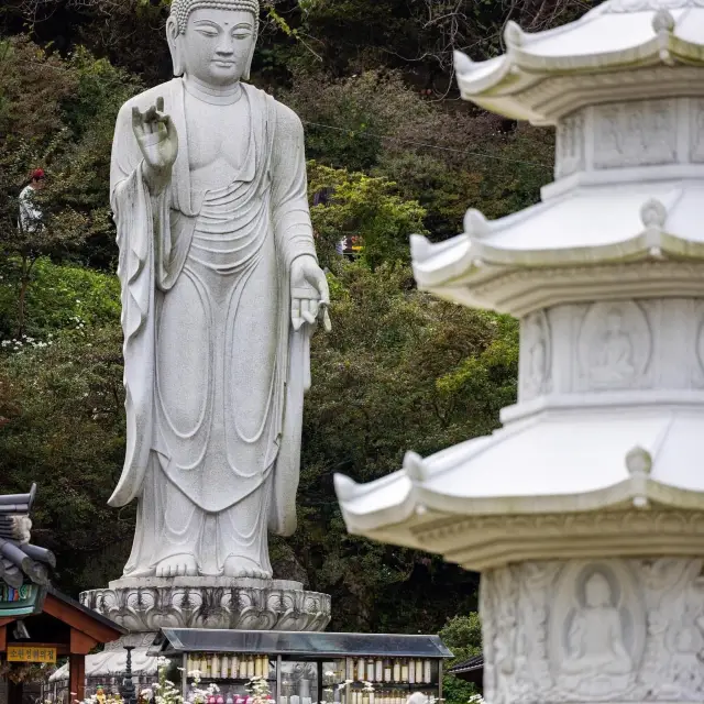 Beautiful Autumn of Yeongpyeongsa Temple 