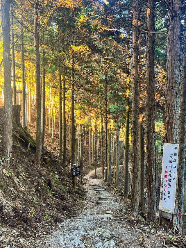 【秩父】関東屈指のパワースポット❗️三峯神社✨