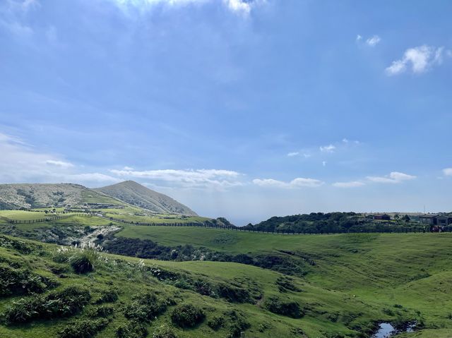 陽明山～牛奶湖-冷水坑-擎天崗