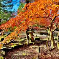 曽木公園
