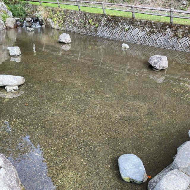 兵庫・丹波　あまごつかみ取りからのあまご尽くし