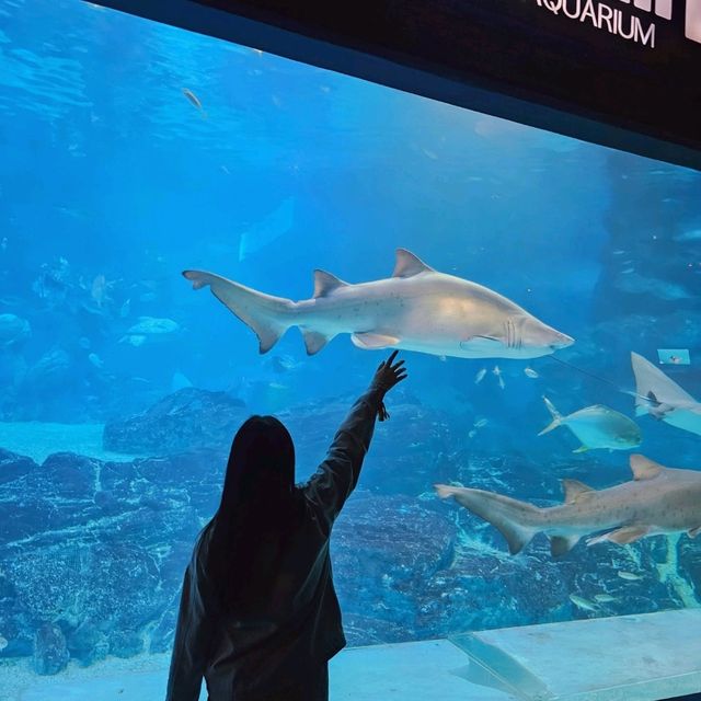 부산 해운대 아쿠아리움