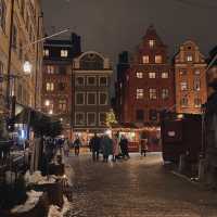 Exploring Stockholm's Seasonal Charms