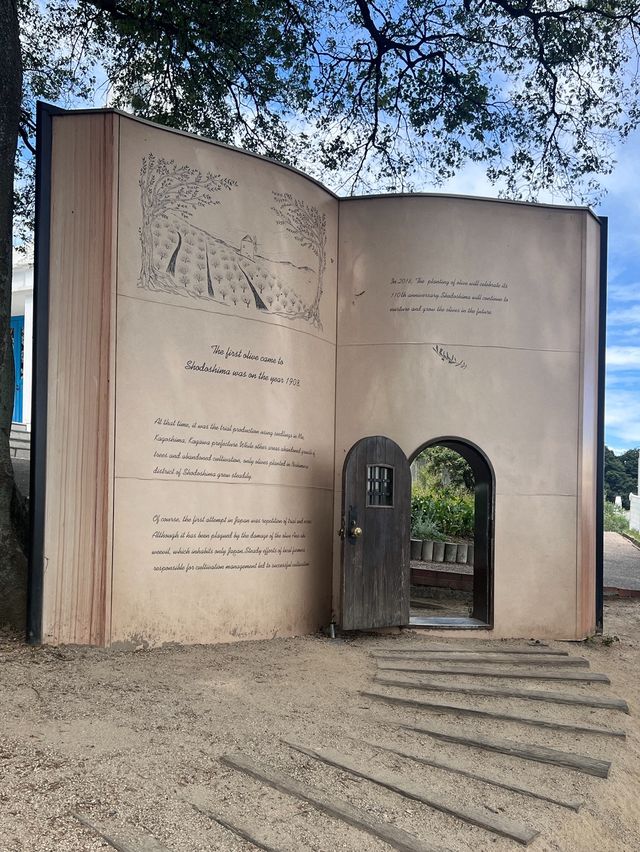 【小豆島】女子旅にオススメ❣️フォトジェニック空間　オリーブ公園✨