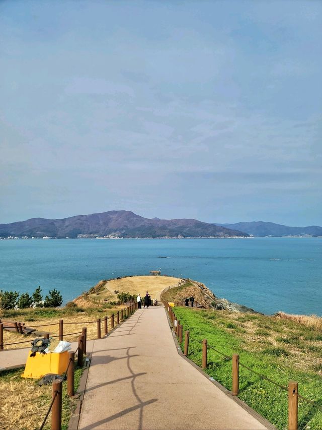 언제가도 멋진 오션뷰 바람의 언덕✨️