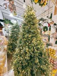 🎄크리스마스 트리를 사야한다면 ‘대도종합상가’