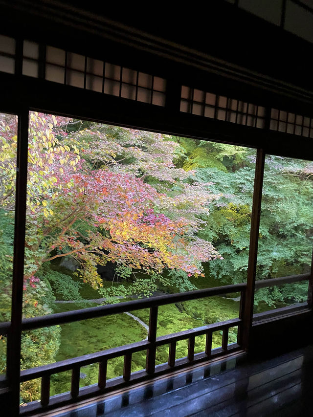 【京都府】2023年行って良かった　リフレクションが美しい瑠璃光院