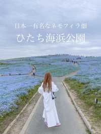 世界中で大人気！茨城のネモフィラ畑人混みを避ける裏技