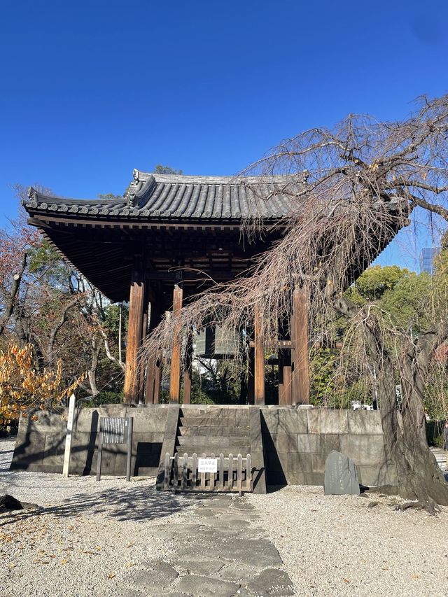 【東京都/増上寺】2023年行ってよかった！東京都の寺院