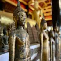 Wisunnarat's Timeless Embrace: A Journey