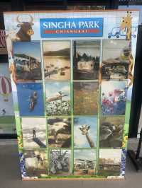 Singha Park: Family Fun in Chiang Rai 