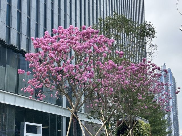 坐港鐵遊香港．啟德站．AIRSIDE．必遊海洋美術館